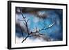 Snow Day-Ursula Abresch-Framed Photographic Print