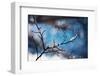 Snow Day-Ursula Abresch-Framed Photographic Print