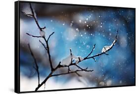 Snow Day-Ursula Abresch-Framed Stretched Canvas