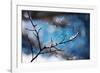 Snow Day-Ursula Abresch-Framed Photographic Print