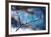 Snow Day-Ursula Abresch-Framed Photographic Print