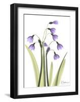 Snow Drop in Full Bloom-Albert Koetsier-Framed Art Print