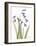 Snow Drop in Full Bloom-Albert Koetsier-Framed Art Print