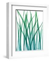 Snow Drop-Albert Koetsier-Framed Premium Giclee Print