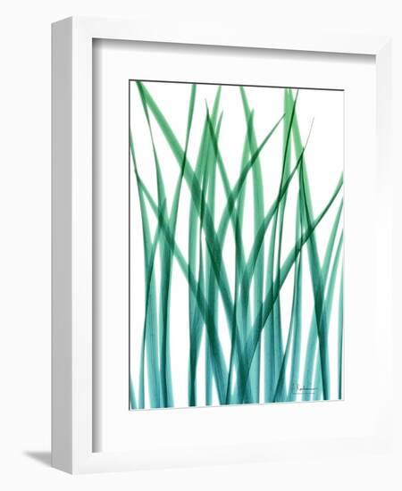 Snow Drop-Albert Koetsier-Framed Premium Giclee Print