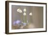 Snow Dropsspring Snow-Flake-Samuel Pradetto-Framed Photographic Print