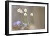 Snow Dropsspring Snow-Flake-Samuel Pradetto-Framed Photographic Print