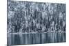 Snow Fall In Coeur D'Alene Idaho-Rebecca Gaal-Mounted Photographic Print