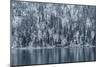 Snow Fall In Coeur D'Alene Idaho-Rebecca Gaal-Mounted Photographic Print