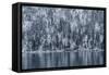 Snow Fall In Coeur D'Alene Idaho-Rebecca Gaal-Framed Stretched Canvas