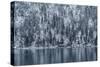 Snow Fall In Coeur D'Alene Idaho-Rebecca Gaal-Stretched Canvas