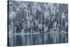 Snow Fall In Coeur D'Alene Idaho-Rebecca Gaal-Stretched Canvas