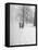 Snow Falling While People Take a Stroll Across Campus of Winchester College-Cornell Capa-Framed Stretched Canvas