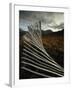 Snow Fences and Moorland, Wester Ross Near Dundonnell, Highlands, Scotland, UK-Neale Clarke-Framed Photographic Print