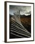 Snow Fences and Moorland, Wester Ross Near Dundonnell, Highlands, Scotland, UK-Neale Clarke-Framed Photographic Print