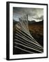 Snow Fences and Moorland, Wester Ross Near Dundonnell, Highlands, Scotland, UK-Neale Clarke-Framed Photographic Print