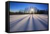 Snow Field, Boulder Mountain, Dixie National Forest, Utah, USA-Charles Gurche-Framed Stretched Canvas
