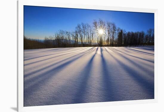 Snow Field, Boulder Mountain, Dixie National Forest, Utah, USA-Charles Gurche-Framed Photographic Print