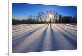 Snow Field, Boulder Mountain, Dixie National Forest, Utah, USA-Charles Gurche-Framed Photographic Print