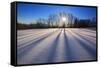 Snow Field, Boulder Mountain, Dixie National Forest, Utah, USA-Charles Gurche-Framed Stretched Canvas