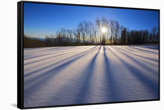 Snow Field, Boulder Mountain, Dixie National Forest, Utah, USA-Charles Gurche-Framed Stretched Canvas