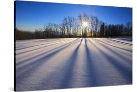 Snow Field, Boulder Mountain, Dixie National Forest, Utah, USA-Charles Gurche-Stretched Canvas