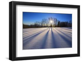Snow Field, Boulder Mountain, Dixie National Forest, Utah, USA-Charles Gurche-Framed Photographic Print