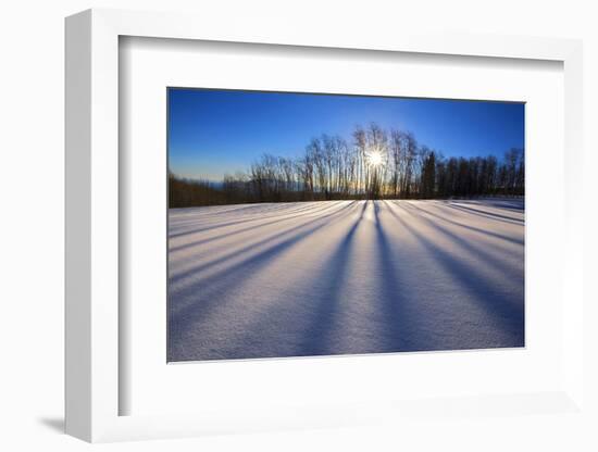 Snow Field, Boulder Mountain, Dixie National Forest, Utah, USA-Charles Gurche-Framed Photographic Print