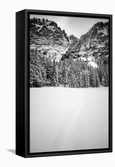 Snow Field-Craig Howarth-Framed Stretched Canvas