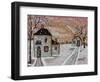 Snow Flurries 1-Karla Gerard-Framed Premium Giclee Print