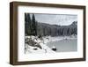 Snow Forest-pljvv-Framed Photographic Print