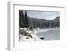 Snow Forest-pljvv-Framed Photographic Print