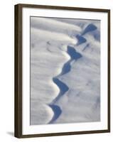 Snow Forms, Bosque del Apache National Wildlife Refuge, New Mexico, USA, North America-James Hager-Framed Photographic Print