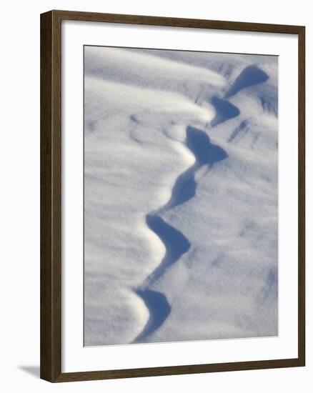 Snow Forms, Bosque del Apache National Wildlife Refuge, New Mexico, USA, North America-James Hager-Framed Photographic Print