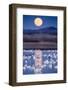 Snow Geese and Full Moon, New Mexico-Paul Souders-Framed Photographic Print