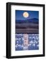 Snow Geese and Full Moon, New Mexico-Paul Souders-Framed Photographic Print