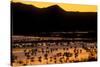 Snow geese and marsh at dusk, Bosque del Apache NWR, New Mexico, USA-Scott T. Smith-Stretched Canvas