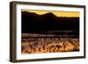 Snow geese and marsh at dusk, Bosque del Apache NWR, New Mexico, USA-Scott T. Smith-Framed Photographic Print