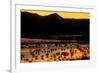 Snow geese and marsh at dusk, Bosque del Apache NWR, New Mexico, USA-Scott T. Smith-Framed Photographic Print