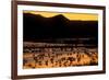 Snow geese and marsh at dusk, Bosque del Apache NWR, New Mexico, USA-Scott T. Smith-Framed Photographic Print