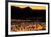 Snow geese and marsh at dusk, Bosque del Apache NWR, New Mexico, USA-Scott T. Smith-Framed Photographic Print