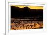 Snow geese and marsh at dusk, Bosque del Apache NWR, New Mexico, USA-Scott T. Smith-Framed Photographic Print