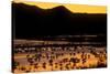 Snow geese and marsh at dusk, Bosque del Apache NWR, New Mexico, USA-Scott T. Smith-Stretched Canvas