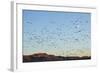 Snow Geese, Bosque Del Apache, New Mexico-Paul Souders-Framed Photographic Print