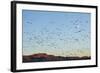 Snow Geese, Bosque Del Apache, New Mexico-Paul Souders-Framed Photographic Print