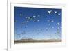 Snow Geese, Bosque Del Apache, New Mexico-Paul Souders-Framed Photographic Print