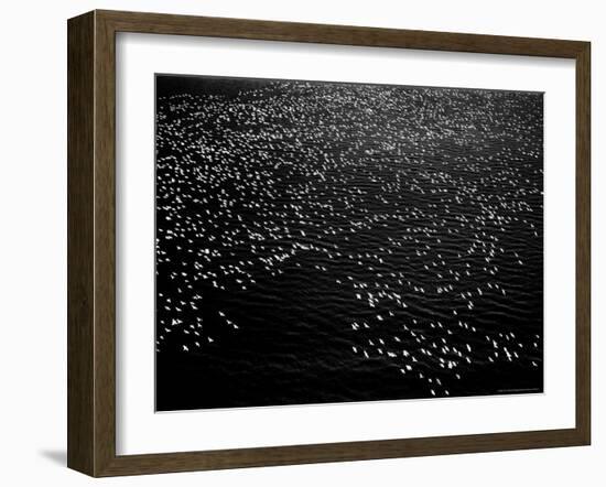 Snow Geese Flying over Bay-Margaret Bourke-White-Framed Photographic Print