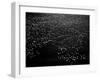 Snow Geese Flying over Bay-Margaret Bourke-White-Framed Photographic Print