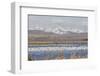 Snow Geese, Freeze Out Lake Nwr-Ken Archer-Framed Photographic Print