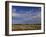 Snow Geese in Winter, Bosque Del Apache, New Mexico, USA-David Tipling-Framed Photographic Print